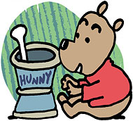 honeybear