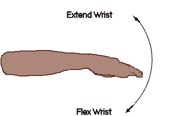pwristflexext