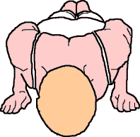 Picture of Swan One Neck Roll from Head End